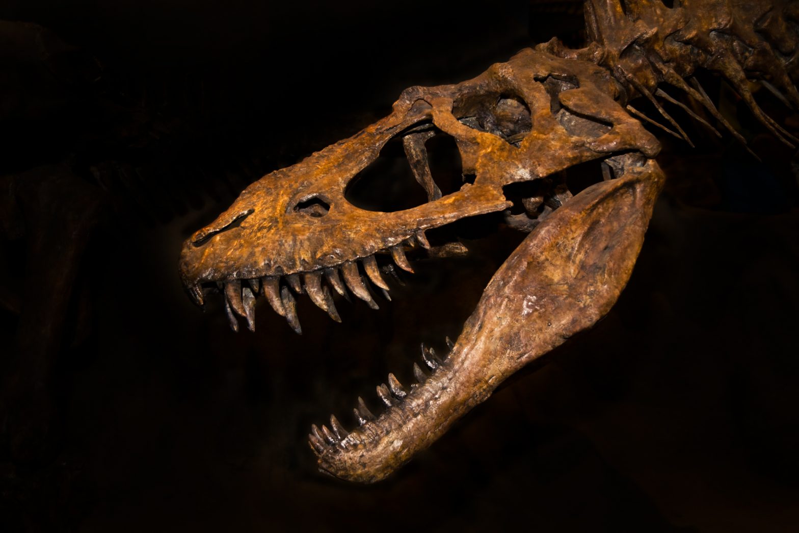 DinoPark vs JurassicPark